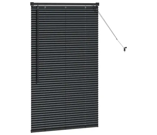 Aknarulo Kardinatega Must Alumiinium