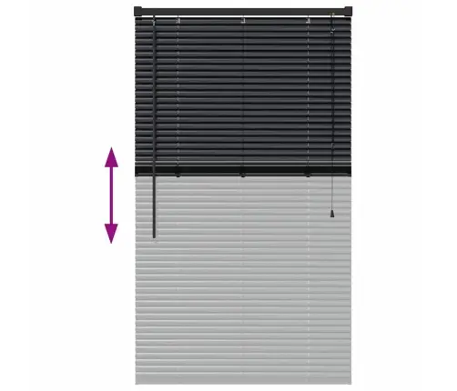 Aknarulo Kardinatega Must Alumiinium