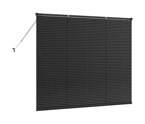 Langų Žaliuzė Su Užuolaidomis Juoda Aliuminis