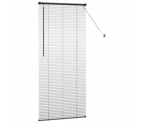 Langų Žaliuzė Su Užuolaidomis Juoda Aliuminis