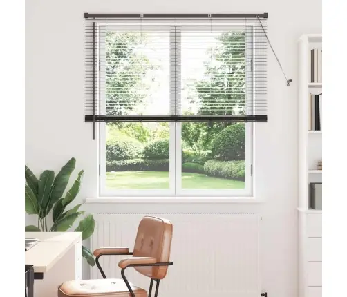 Aknarulo Kardinatega Must Alumiinium