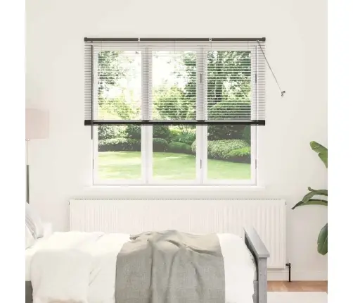 Aknarulo Kardinatega Must Alumiinium