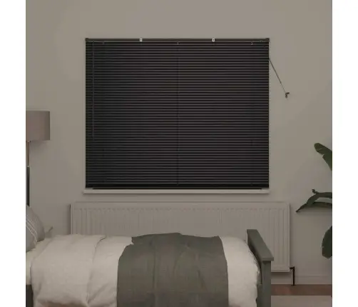 Aknarulo Kardinatega Must Alumiinium