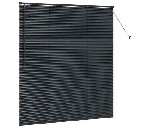 Aknarulo Kardinatega Must Alumiinium