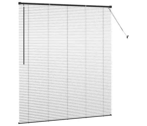 Aknarulo Kardinatega Must Alumiinium