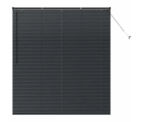 Aknarulo Kardinatega Must Alumiinium