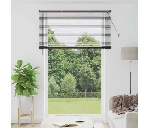 Aknarulo Kardinatega Must Alumiinium