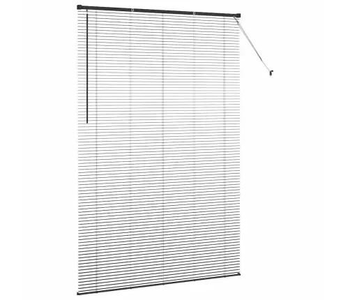 Aknarulo Kardinatega Must Alumiinium