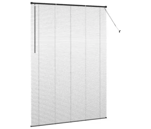 Aknarulo Kardinatega Must Alumiinium