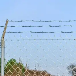 Stieple Ar Asumiem Zaļa 100 M Karsti Cinkots Tērauds Vidaxl