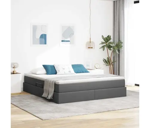 Voodi Hoiukohaga Ja Madratsiga Tumehall 160 X 200 Cm Polüester