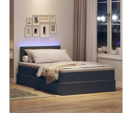 Lova Su Daiktų Laikymo Vieta Ir Led Tamsiai Pilka 120 X 200 Cm