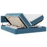 Voodi Led -Ribatuledega Peaga Tumesinine 200 X 200 Cm Samet