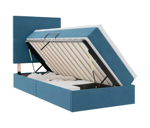 Lova Su Daiktų Laikymo Vieta Ir Čiužiniu 100 X 200 Cm Aksomas