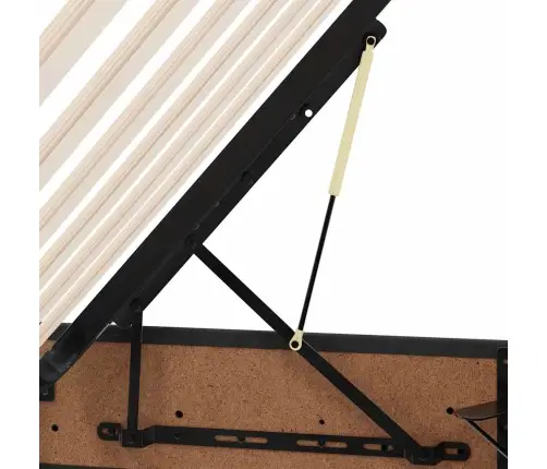Lova Su Daiktų Laikymo Vieta Ir Čiužiniu Juoda 140 X 200 Cm