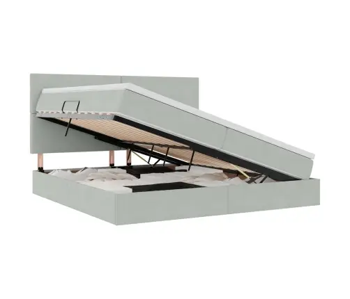 Gulta Ar Uzglabāšanas Vietu Un Led Gaiši Pelēks 200 X 200 Cm Vidaxl