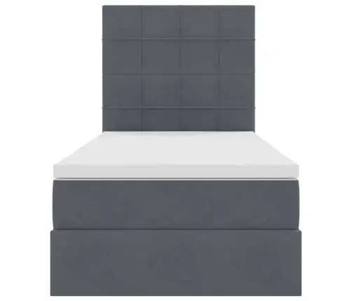 Lova Su Daiktų Laikymo Vieta Ir Čiužiniu 100 X 200 Cm Aksomas