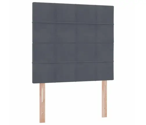 Lova Su Daiktų Laikymo Vieta Ir Čiužiniu 100 X 200 Cm Aksomas