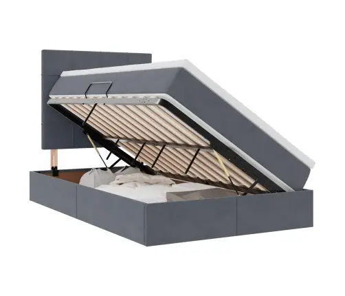 Gulta Ar Uzglabāšanas Vietu Un Led Tumši Pelēks 120 X 200 Cm Vidaxl