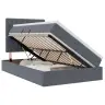 Led-Valgusega Hoiuvoodi Madratsiga Tumehall 120 X 190 Cm Samet