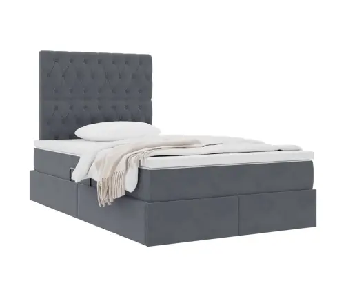 Lova Su Daiktų Laikymo Vieta Ir Čiužiniu 120 X 200 Cm Aksomas