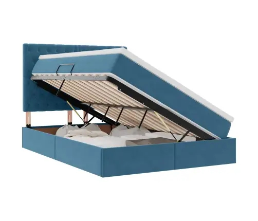 Lova Su Daiktų Laikymo Vieta Ir Čiužiniu 140 X 200 Cm Aksomas