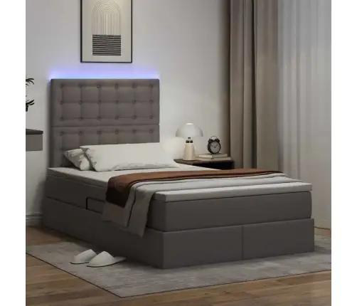 Lova Su Daiktų Laikymo Vieta Ir Led Pilka 120 X 200 Cm