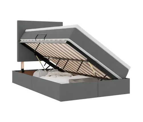 Gulta Ar Uzglabāšanas Vietu Un Led Tumši Pelēks 120 X 190 Cm Vidaxl