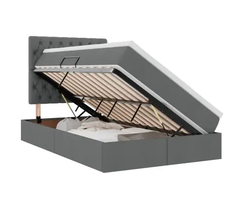 Lova Su Daiktų Laikymo Vieta Ir Led Tamsiai Pilka 120 X 200 Cm