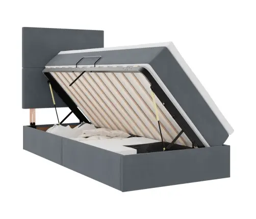 Lova Su Daiktų Laikymo Vieta Ir Led Tamsiai Pilka 100 X 200 Cm