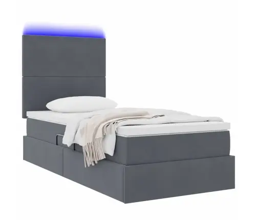 Lova Su Daiktų Laikymo Vieta Ir Led Tamsiai Pilka 100 X 200 Cm