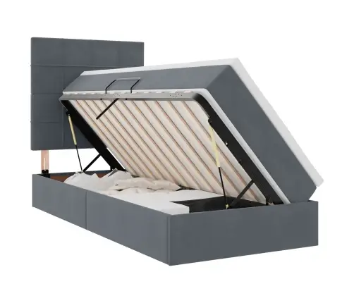 Gulta Ar Uzglabāšanas Vietu Un Led Tumši Pelēks 100 X 200 Cm Vidaxl