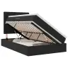Led-Valgusega Hoiuvoodi Madratsiga Must 120 X 190 Cm Samet