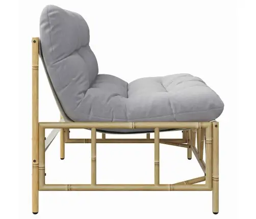 Dārza Sols Ar Spilvenu 110X80X71 Cm Vidaxl