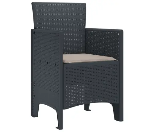 Aia Tool Padjaga 2 Pcs Antratsiit 53 X 49 X 85 Cm Polüpropüleen