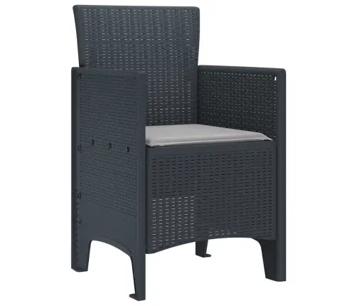 Aia Tool 2 Pcs Antratsiit 53 X 49 X 85 Cm Pp