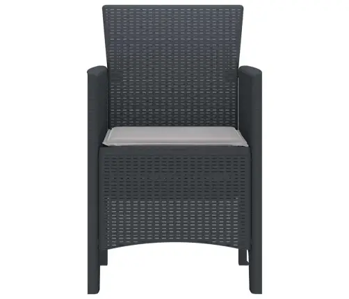 Aia Tool 2 Pcs Antratsiit 53 X 49 X 85 Cm Pp