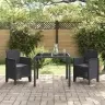 Aia Tool 2 Pcs Antratsiit 53 X 49 X 85 Cm Pp