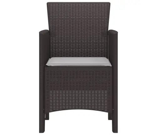 Sodo Kėdė Su Pagalve 2 Pcs Ruda 53 X 49 X 85 Cm Polipropilenas