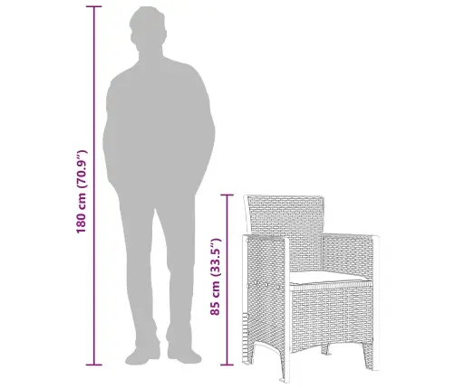 Sodo Kėdė Su Pagalve 2 Pcs Ruda 53 X 49 X 85 Cm Polipropilenas