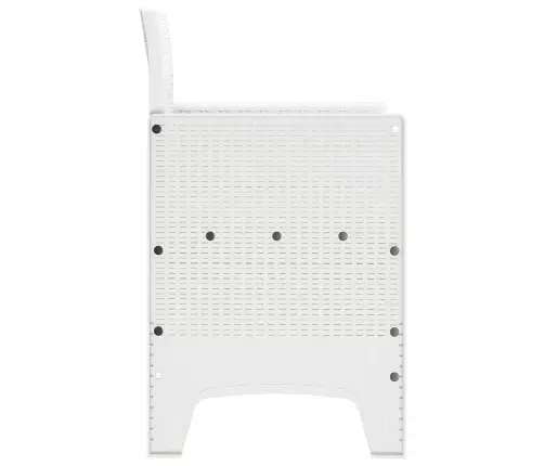 Dārza Krēsli Ar Spilveniem 2 Gab. Balts Poli Rotangpalma Vidaxl