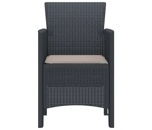 Aia Tool Padjaga 4 Pcs Antratsiit 53 X 49 X 85 Cm Polüpropüleen