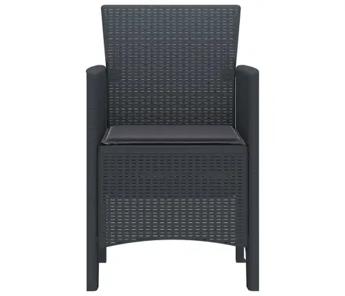 Aia Tool 4 Pcs Antratsiit 53 X 49 X 85 Cm Pp