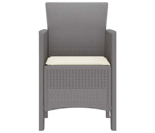 Sodo Kėdė 4 Pcs Šviesiai Pilka 53 X 49 X 85 Cm Polipropilenas