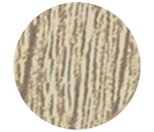 Līmējošs Skrūvju Vāks 2 Pcs Sonoma Ozols Ø 20 X 0,5 Mm Vidaxl