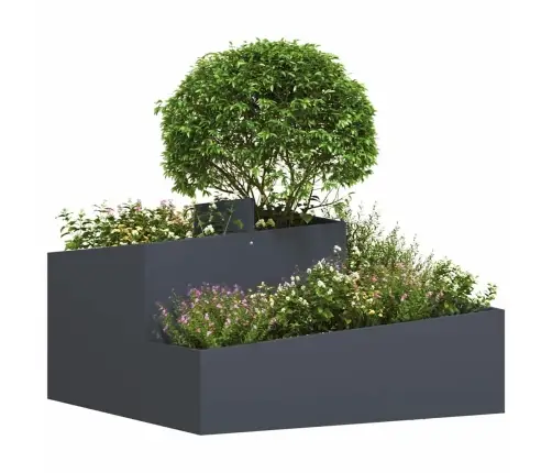 Stādītājs Antracīts 80X80X50 Cm Vidaxl