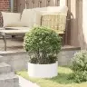 Liels Baltais Metāla Pods Balts Metāls Liels Podus Vidaxl