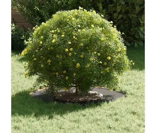 Sobiv Lame Puu Rõngaste Jaoks 5 Pcs Must Ø30 / 60 Cm Teras