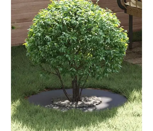 Sobiv Lame Puu Rõngaste Jaoks 5 Pcs Antratsiit Ø30 / 60 Cm Teras