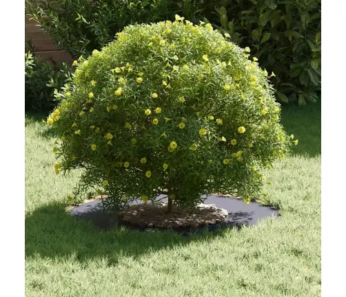 Sobiv Lame Puu Rõngaste Jaoks 5 Pcs Antratsiit Ø30 / 60 Cm Teras